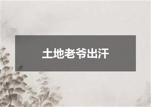 土地老爷出汗