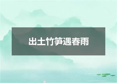 出土竹笋遇春雨