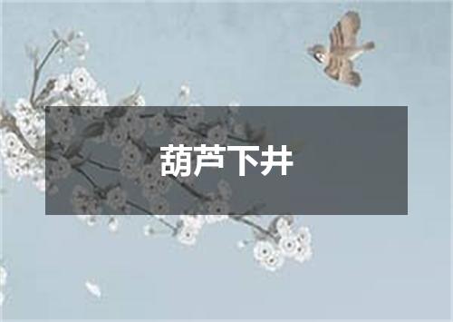 葫芦下井