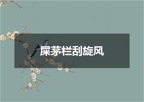 屎茅栏刮旋风