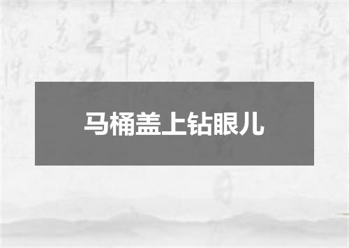 马桶盖上钻眼儿