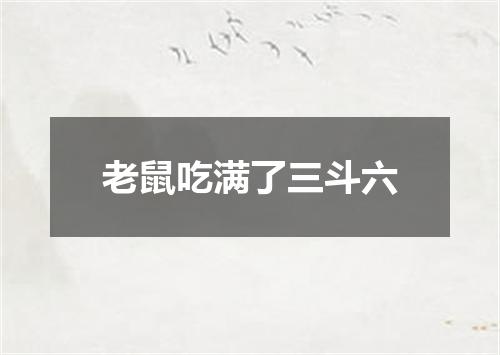 老鼠吃满了三斗六