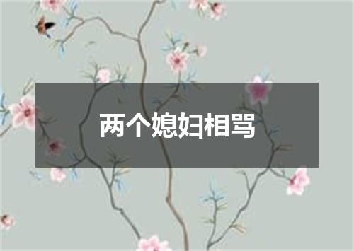 两个媳妇相骂