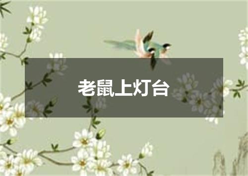 老鼠上灯台