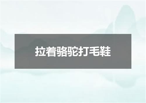 拉着骆驼打毛鞋