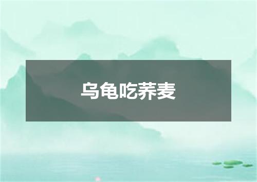 乌龟吃荞麦