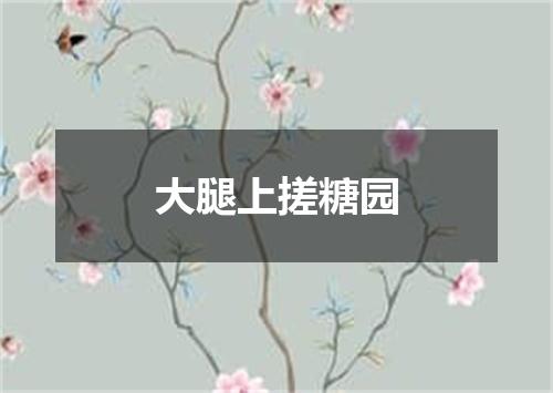 大腿上搓糖园