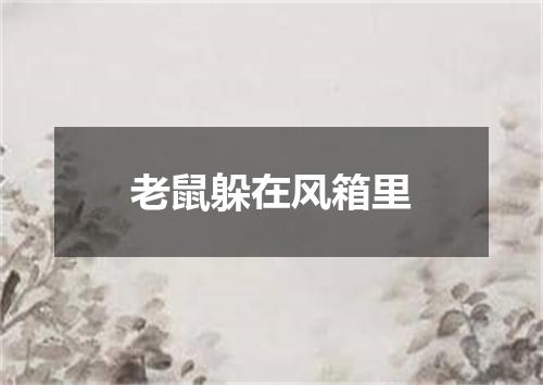老鼠躲在风箱里