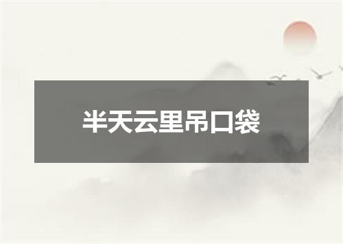 半天云里吊口袋