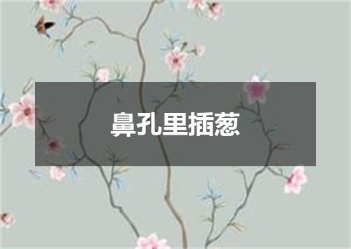鼻孔里插葱