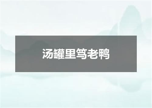 汤罐里笃老鸭