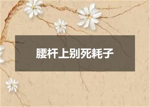 腰杆上别死耗子