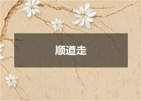 顺道走