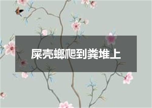 屎壳螂爬到粪堆上