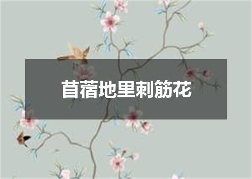 苜蓿地里刺筋花