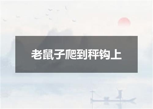 老鼠子爬到秤钩上