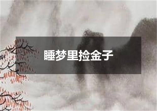 睡梦里捡金子
