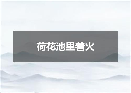 荷花池里着火