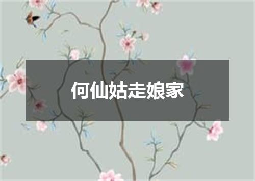 何仙姑走娘家