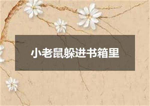 小老鼠躲进书箱里