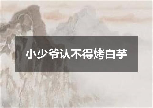 小少爷认不得烤白芋