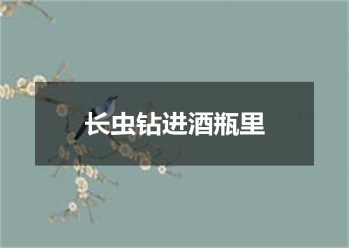 长虫钻进酒瓶里