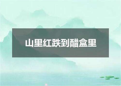 山里红跌到醋盒里
