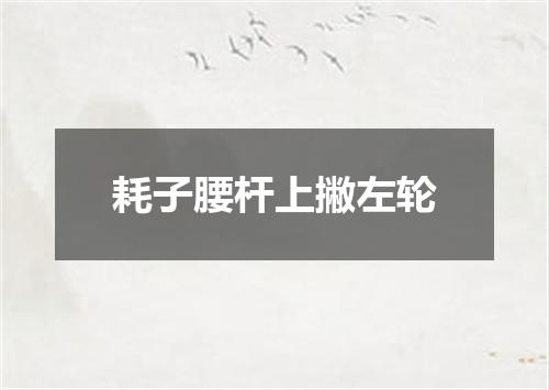 耗子腰杆上撇左轮