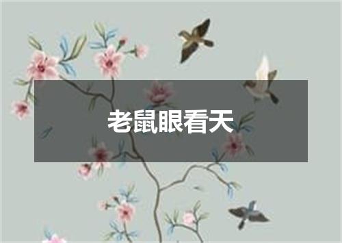 老鼠眼看天