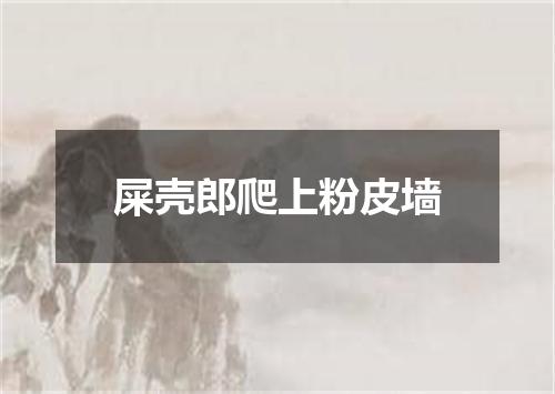 屎壳郎爬上粉皮墙