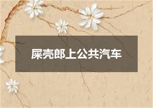 屎壳郎上公共汽车