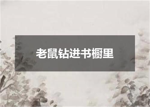 老鼠钻进书橱里