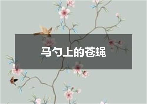 马勺上的苍蝇