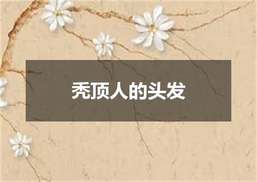 秃顶人的头发
