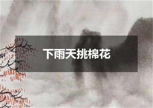 下雨天挑棉花