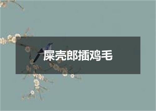屎壳郎插鸡毛