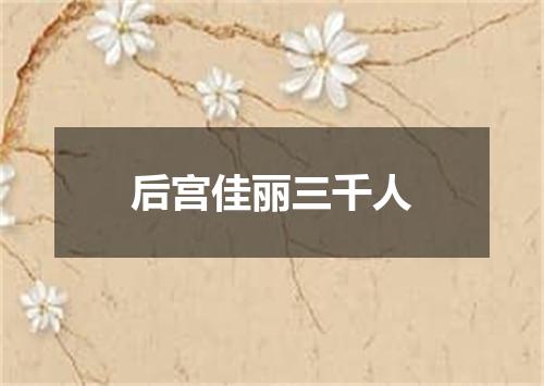 后宫佳丽三千人
