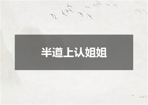 半道上认姐姐