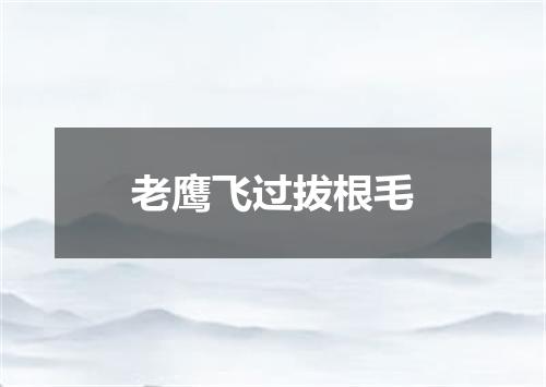 老鹰飞过拔根毛