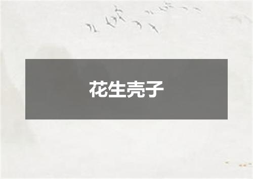花生壳子