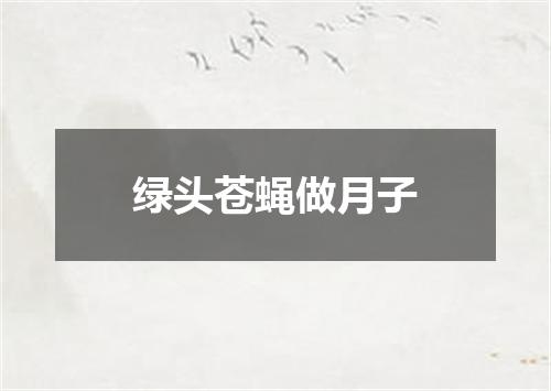 绿头苍蝇做月子