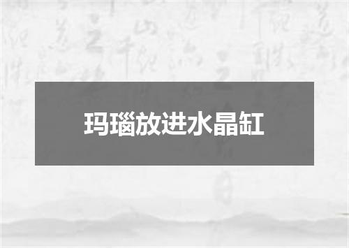 玛瑙放进水晶缸