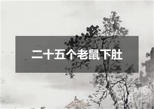 二十五个老鼠下肚