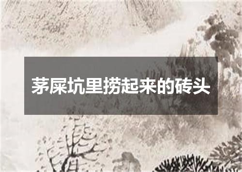 茅屎坑里捞起来的砖头
