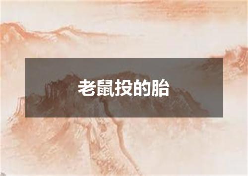 老鼠投的胎