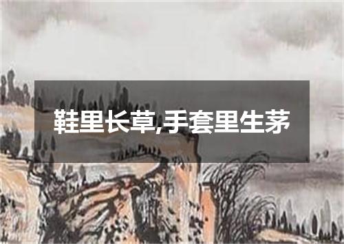 鞋里长草,手套里生茅