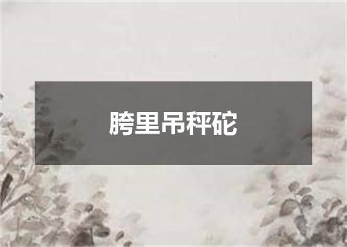 胯里吊秤砣