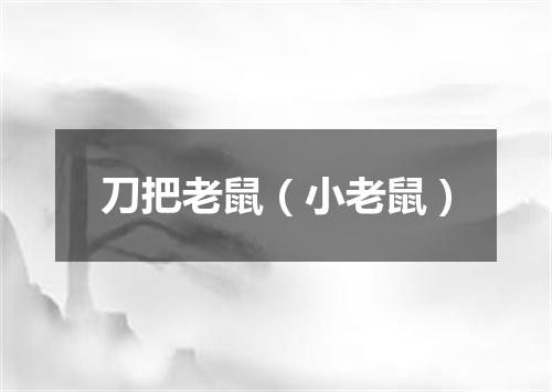 刀把老鼠（小老鼠）