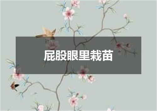 屁股眼里栽苗
