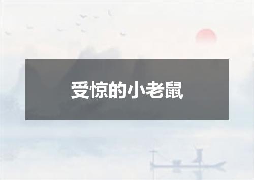 受惊的小老鼠